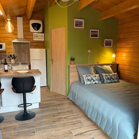 Cosy Wifi Parking Arrivee Autonome Apartmán Castanet-Tolosan