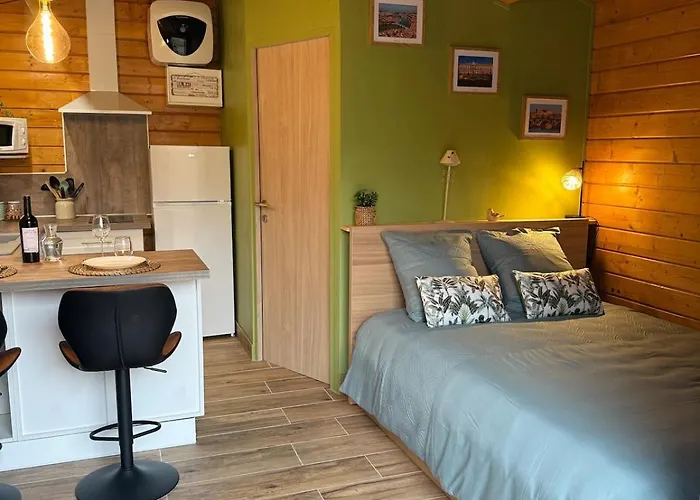 Cosy Wifi Parking Arrivee Autonome Apartment Castanet-Tolosan